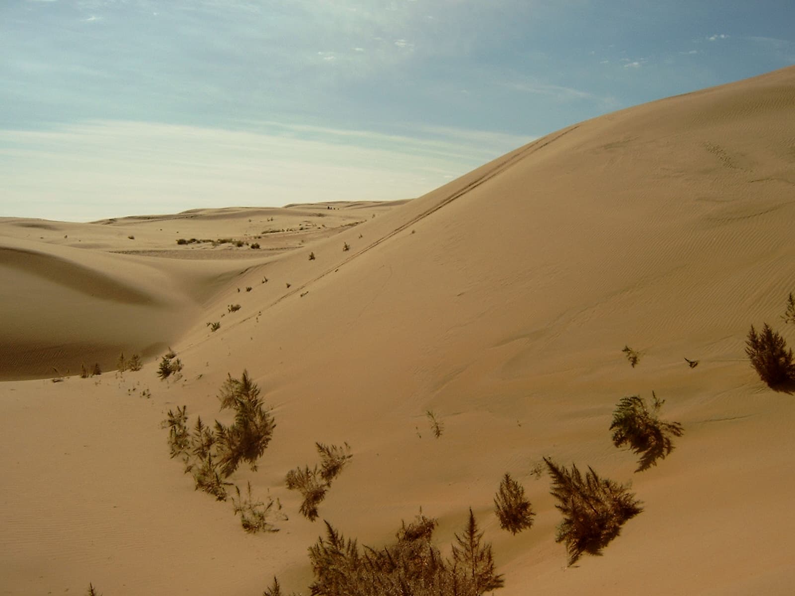 Sweeping orange sand dunes in the Gobi Desert under a blue sky