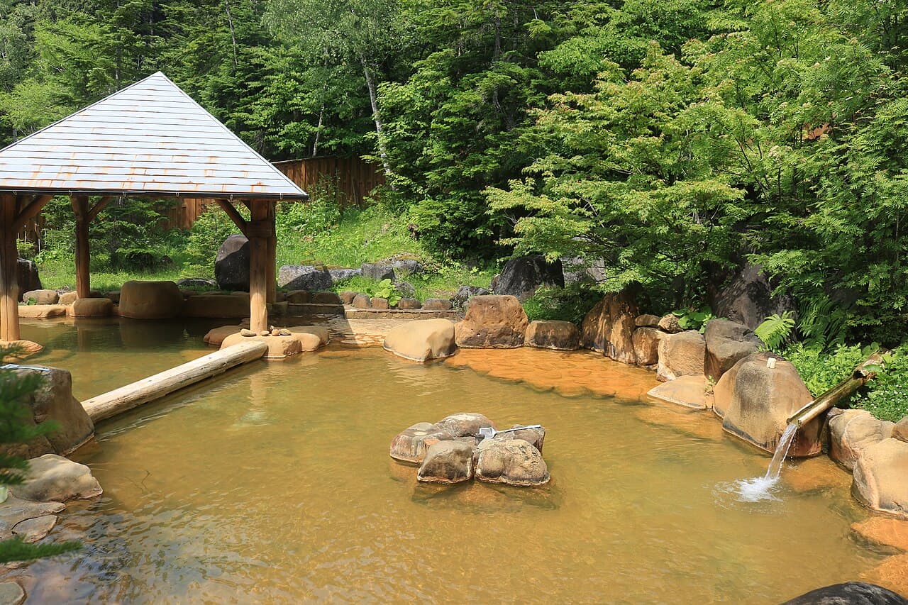 Steam rising from a stone hot spring pool surrounded by trees